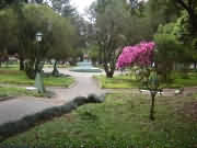 Passo Fundo
